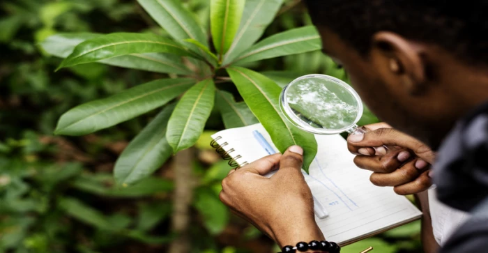 Ecology Surveys in 